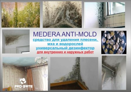 Средство для удаления плесени, мха и водорослей Medera Anti-Mold (1 л)